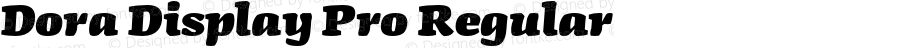 Dora Display Pro Regular Version 7.504; 2013; Build 1022