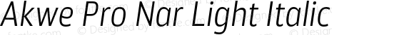 Akwe Pro Nar Light Italic