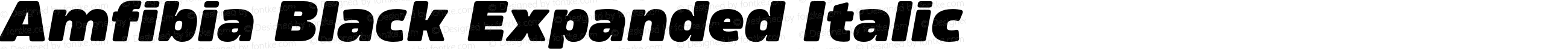 Amfibia Black Expanded Italic