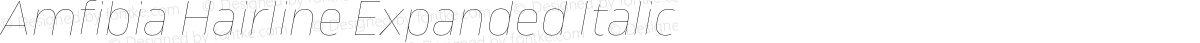 Amfibia Hairline Expanded Italic