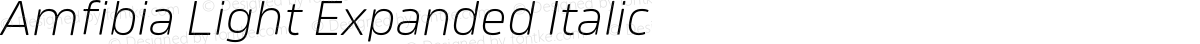 Amfibia Light Expanded Italic