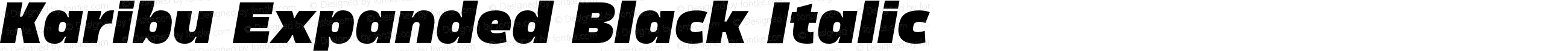 Karibu Expanded Black Italic