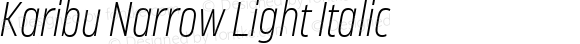 Karibu Narrow Light Italic
