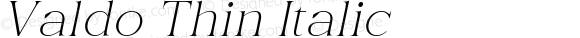 Valdo-ThinItalic