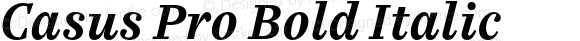 Casus Pro Bold Italic