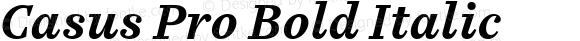 Casus Pro Bold Italic