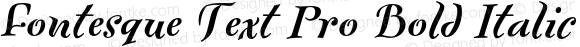 Fontesque Text Pro Bold Italic