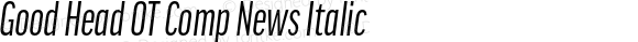 Good Head OT Comp News Italic Version 7.60