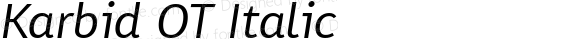 Karbid OT Italic