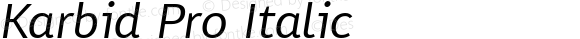 Karbid Pro Italic