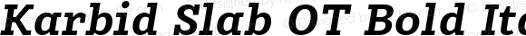 Karbid Slab OT Bold Italic