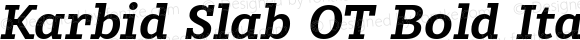 Karbid Slab OT Bold Italic