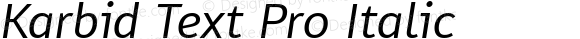 Karbid Text Pro Italic