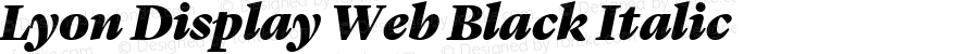 Lyon Display Web Black Italic