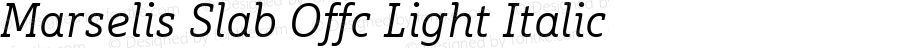 Marselis Slab Offc Light Italic