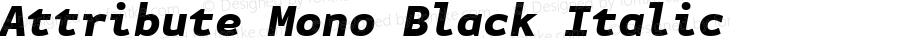 Attribute Mono Black Italic