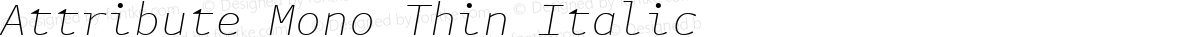 Attribute Mono Thin Italic