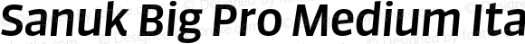Sanuk Big Pro Medium Italic