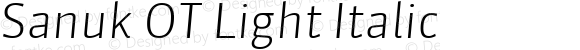 Sanuk OT Light Italic