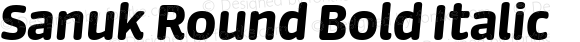 Sanuk Round Pro Bold Italic