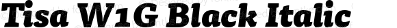 Tisa W1G Black Italic