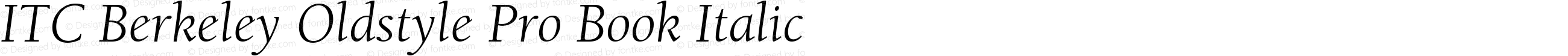 ITC Berkeley Oldstyle Pro Book Italic