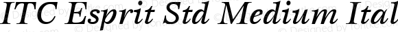 ITC Esprit Std Medium Italic