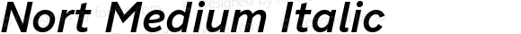 Nort Medium Italic