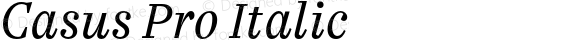 Casus Pro Italic