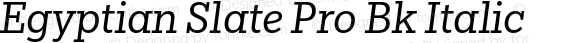 Egyptian Slate Pro Bk Italic