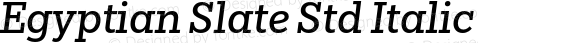 Egyptian Slate Std Italic