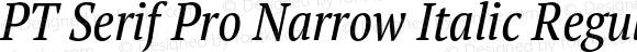 PT Serif Pro Narrow Italic
