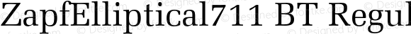 ZapfElliptical711 BT Regular