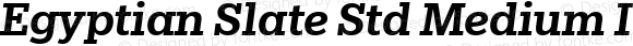 Egyptian Slate Std Medium Italic
