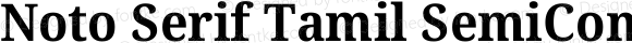 Noto Serif Tamil SemiCondensed Bold Italic