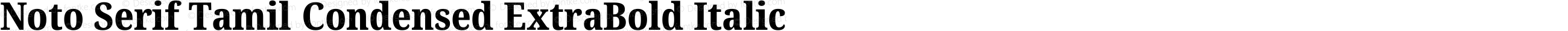 Noto Serif Tamil Condensed ExtraBold Italic