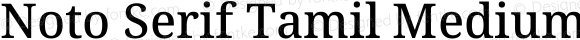 Noto Serif Tamil Medium Italic