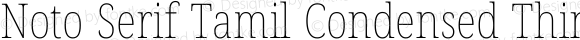 Noto Serif Tamil Condensed Thin Italic