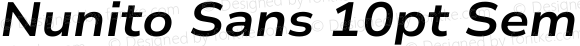 Nunito Sans 10pt SemiExpanded Bold Italic