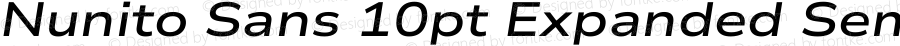 Nunito Sans 10pt Expanded SemiBold Italic