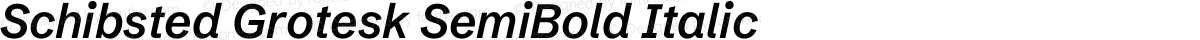 Schibsted Grotesk SemiBold Italic