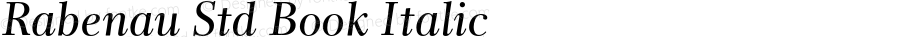 Rabenau Std Book Italic