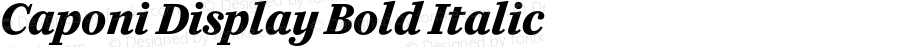 Caponi Display Bold Italic