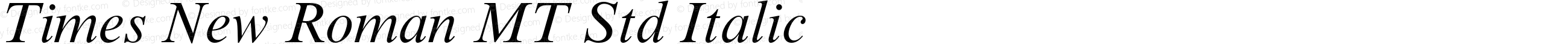 Times New Roman MT Std Italic