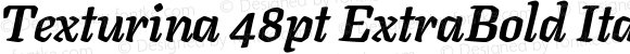 Texturina 48pt ExtraBold Italic