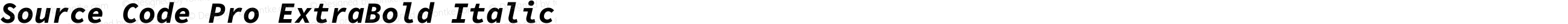 Source Code Pro ExtraBold Italic