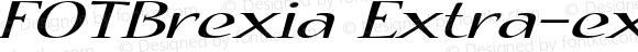 FOTBrexia Extra-expanded Italic