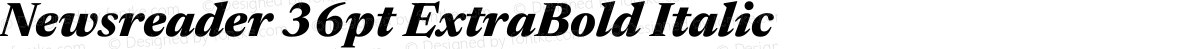 Newsreader 36pt ExtraBold Italic
