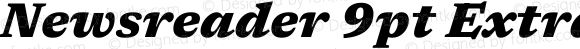 Newsreader 9pt ExtraBold Italic