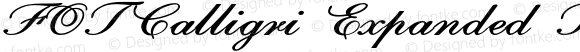 FOTCalligri Expanded Bold Italic